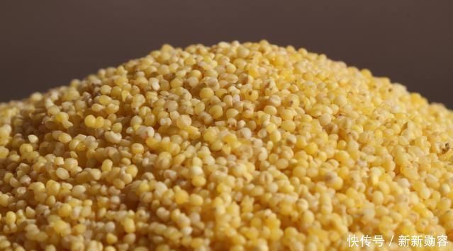 粟米|失眠的“天然克星”来了, 睡前喝一杯, 安神助眠, 让你一觉到天亮