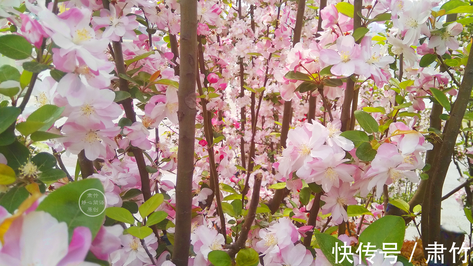 长度|生命长度有限,别在无聊中荒废