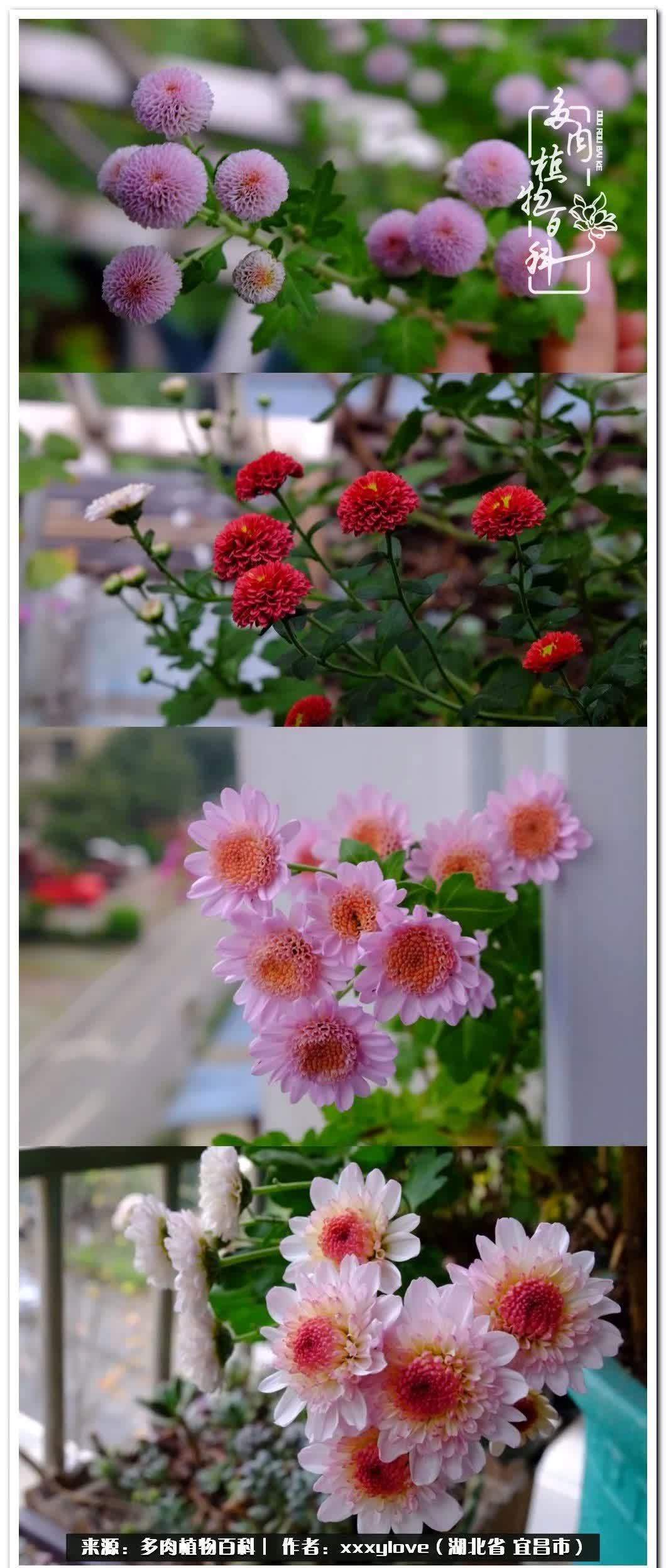 时光匆匆,一闪而逝,这世间万物的美,都值得被记录!