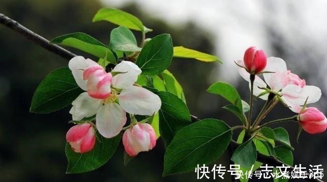 释义&真正厉害的人,为人处世,往往能做到这四点!