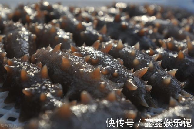 美味|中老年人别舍不得花钱,少吃肉多吃这5种食物,营养美味身体棒