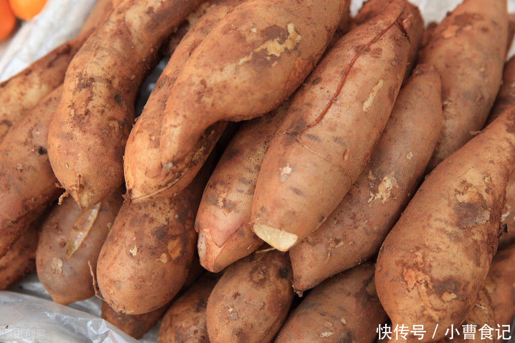 山药|明日进入冬月,进补正当时,这4种“地菜”要常吃,舒舒服服过冬