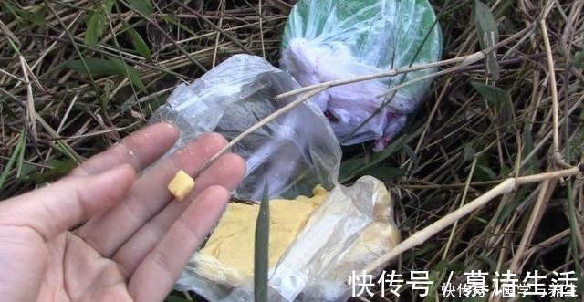 钓鱼|玉米这样用,让钓鱼效果翻倍,鲫鱼鲤鱼草鱼鳊鱼都爱吃,别错过