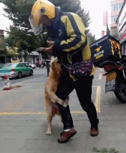 |搞笑GIF：都这时候了还看什么看 赶紧来救我啊，真装不下去了