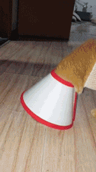 |搞笑GIF：我问女神爱不爱我 结果她发过来一张图