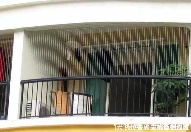 新房|新房装修失误频频,80000业主一怒之下总结出最坑人13大装修遗憾