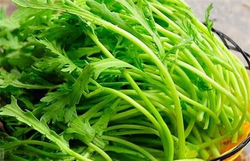 春季来了，多吃三种养生食物，促进肠道蠕动，帮助消化