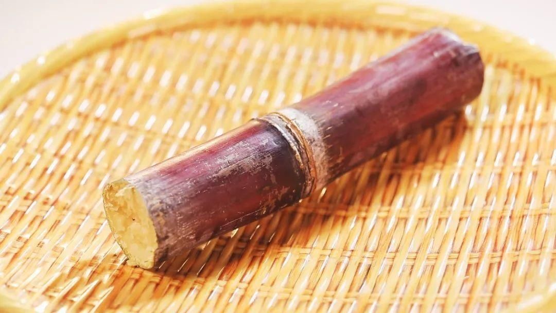  羊肉|「养生厨房」今日菜品——“脱胎换骨”羊肉煲