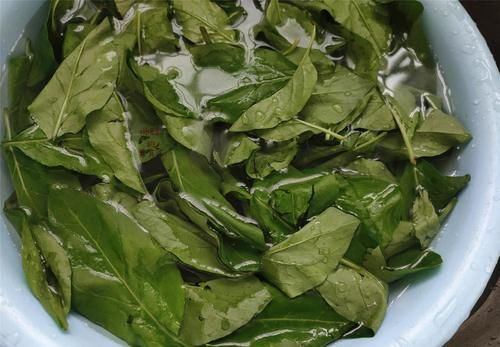 春季嘗鮮，記得要多吃這葉子，煮湯特別鮮，常吃對眼睛有好處