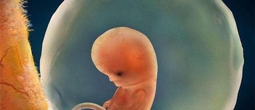 规律|胎儿什么时候长得最快?摸清他的生长的规律,孕妈只会更轻松