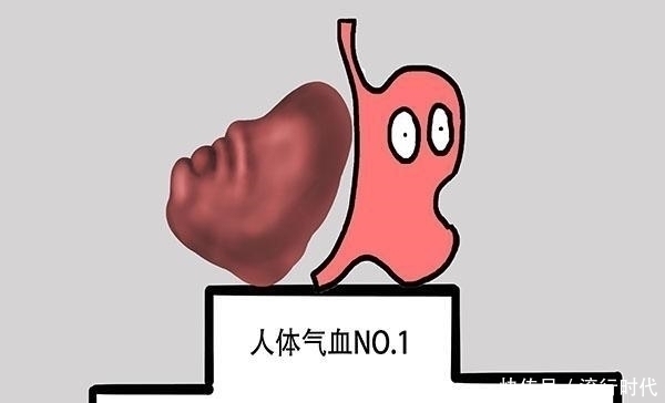 身体健硕|脾虚不能随便补，健脾的对照症状来，医生和您详解养脾胃的方法