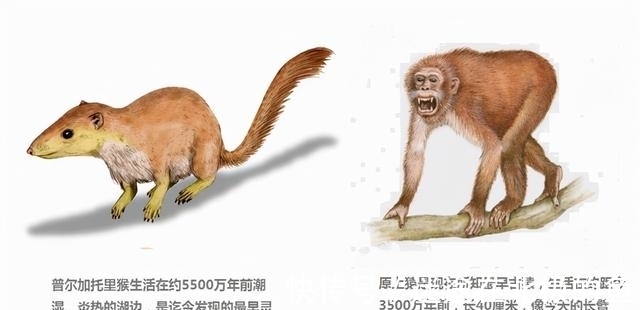 诞生#完美契合!世界上第一对男女如何诞生,为何生理、性格相互适应?