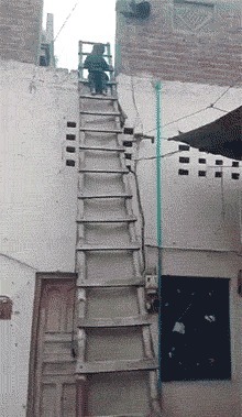 |搞笑GIF: 提起裤子赶紧跑吧 这种情况就别解释了