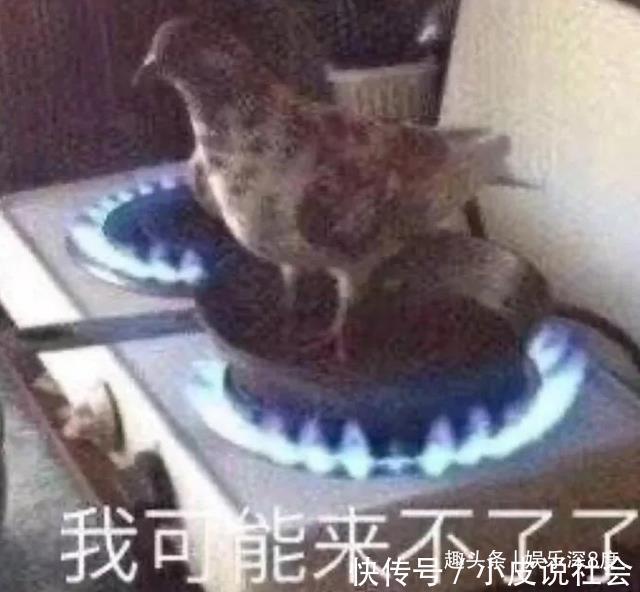 你好生活|《朗讀者3》開播就上熱搜董卿一回歸,又是央視文化綜藝巔峰