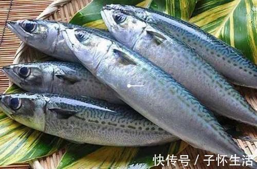 营养|内行人买鱼专挑这4种鱼，肉嫩刺少营养好，目前还不能人工养殖！