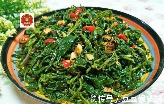 美味|田间地头很常见的野菜,城里餐桌上难得一见美味,小伙伴们记得吗
