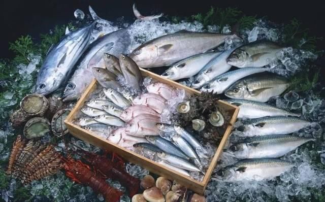 龙利鱼|海鲜界也有“双生子”油鱼伪装成鳕鱼,你都不知道被坑了