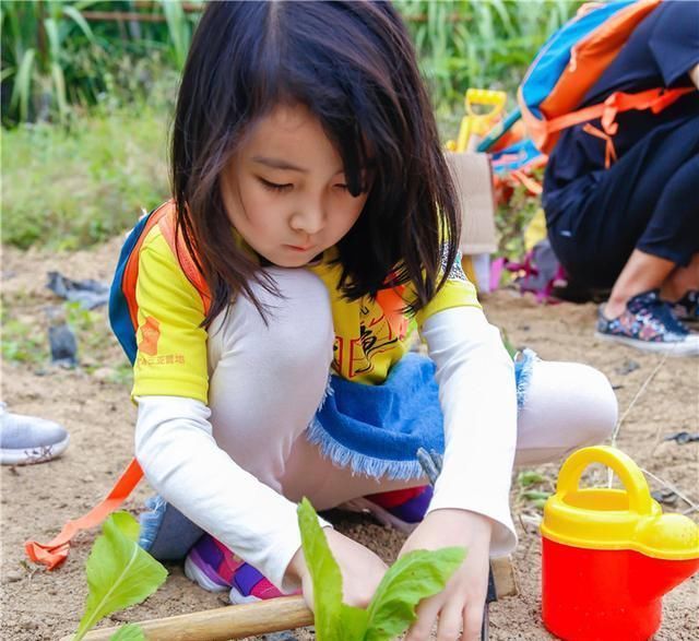 家长|小学生发明猫眼水枪获奖孩子的奇思妙想，需要父母鼓励不是抨击