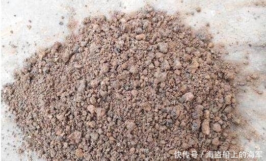 这种材料拿来养花,比你买的营养土好一百倍!这是城里人没有的