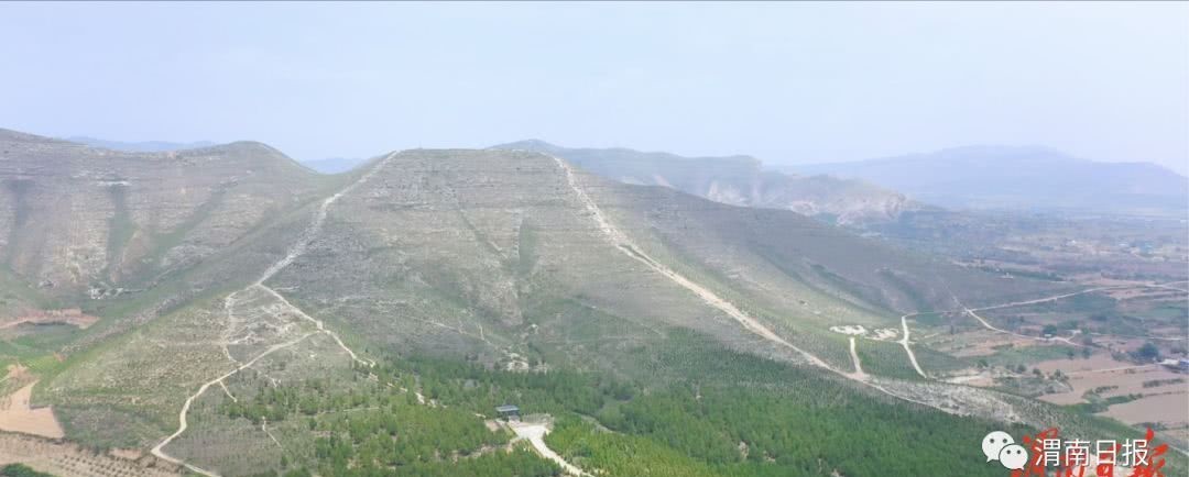 守护者|大唐帝陵的守护者 专属蒲城导游的奇妙十二时辰