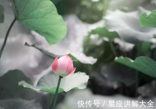 咸鱼翻身|9月下旬，4属相事业进步，升职加薪，生活蒸蒸日上