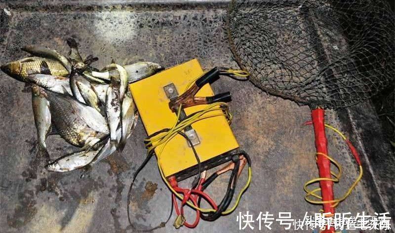 电鱼器|电鱼设备泛滥，淘宝拼多多被“点名”！生态保护不容再等待