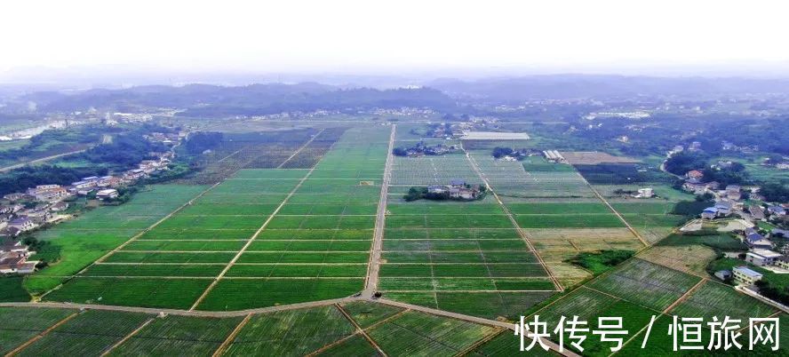 从哪一站上车，开往故乡……|旅博动态 | 示范村