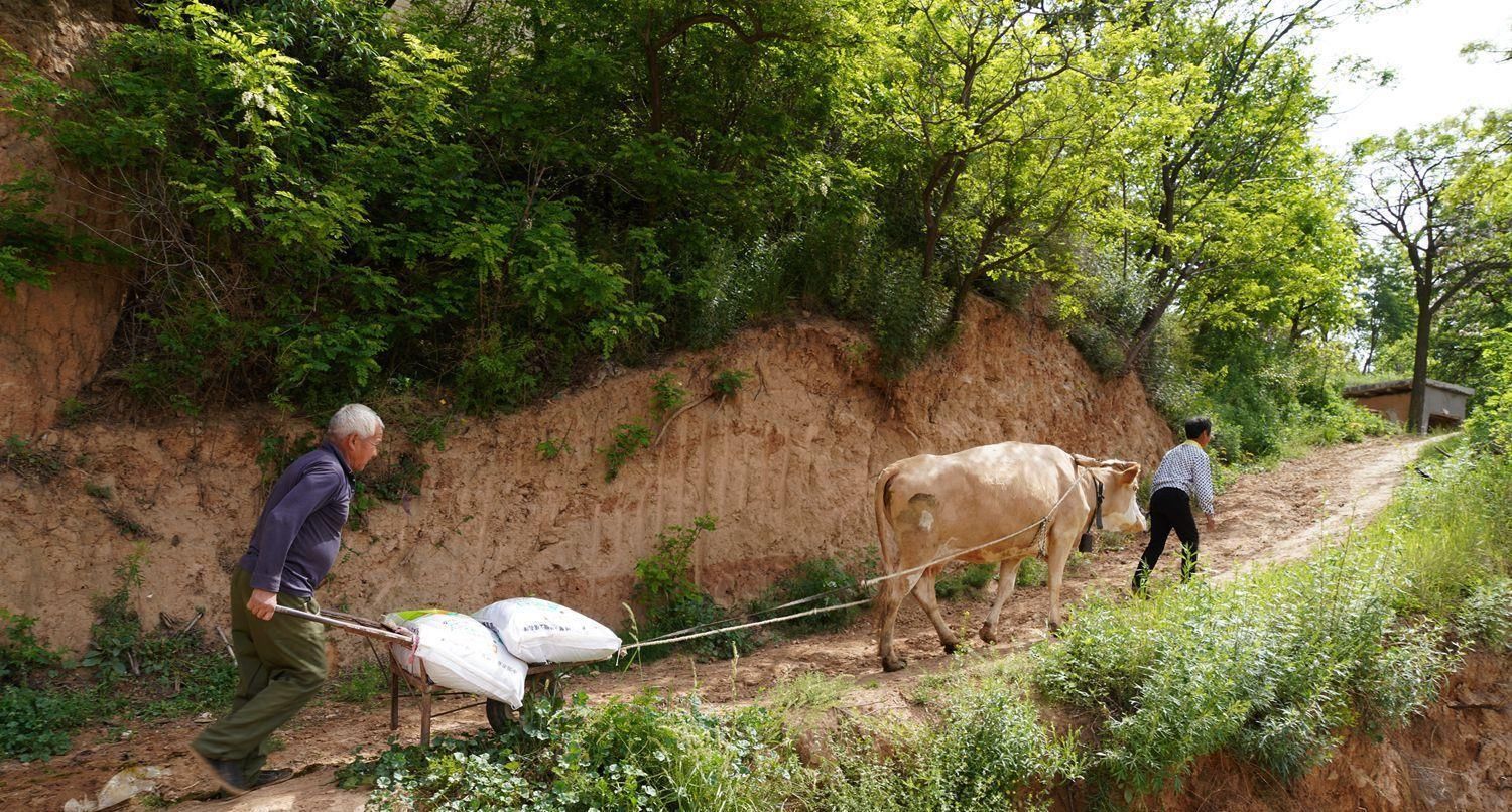 小道|河南大山密林发现世外桃源，2户人家生活在此过百年，啥情况