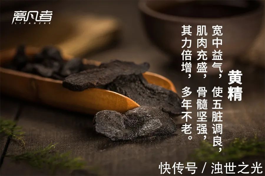 神仙芝草经|它被称为“仙人余粮”,上养肺,中养脾,下养肾,常吃养全身