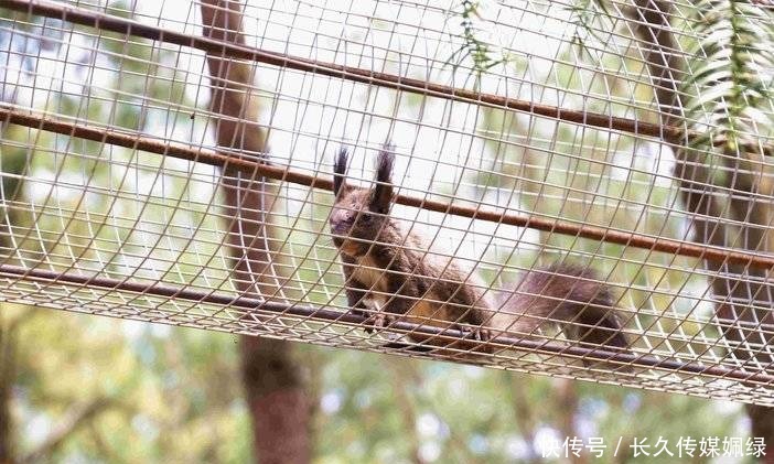 大湖|水波荡漾、承天所赐的大湖——杉木湖景区