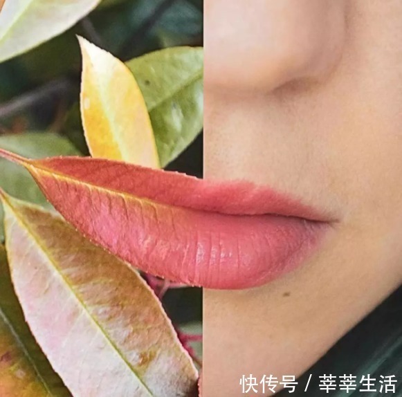 画板@这位好“色”的艺术家,拿大自然当画板,引11万人“想入非非”!