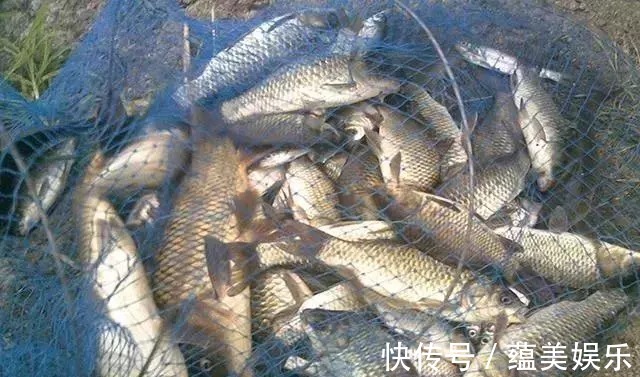 配方|不到8块钱的民间钓鱼配方,鲫鱼鲤鱼却都爱吃,制作简单又有效
