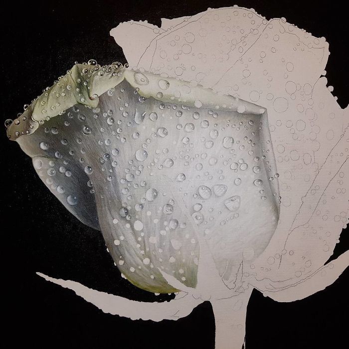 手艺&乍一看是照片！60张“欺骗”眼睛的绘画，有这手艺还要相机干什么