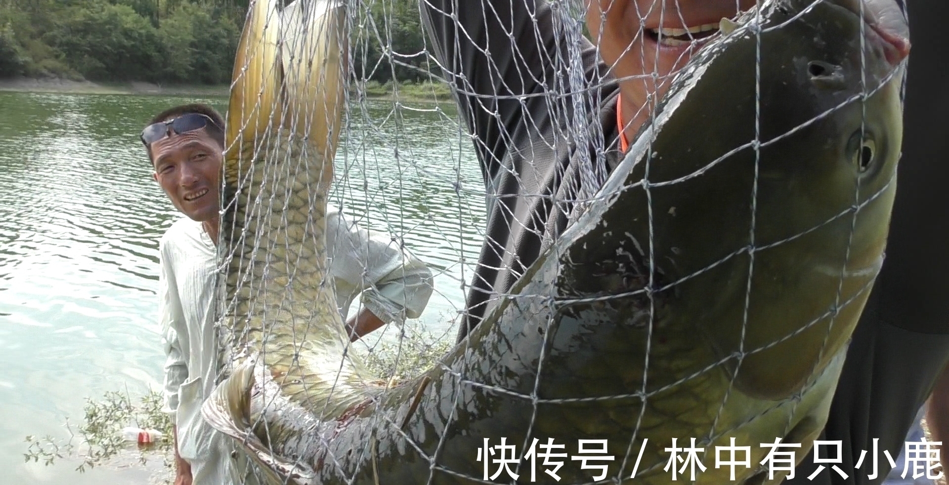 蓑笠哥|到底白天大鱼好钓还是晚上大鱼好钓?用实践和科学证明