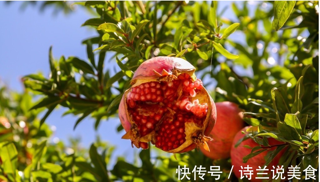 水果|几种时令水果可要多吃,保养好身体平稳过秋冬