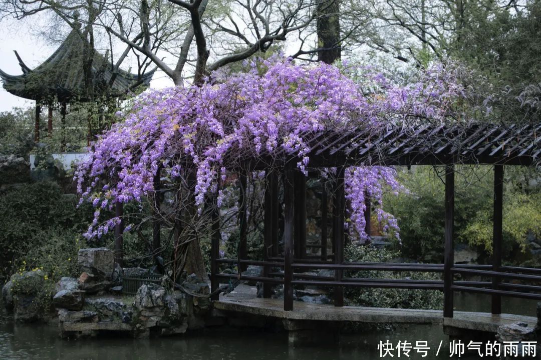 江苏十大经典旅游景点，你去过几个