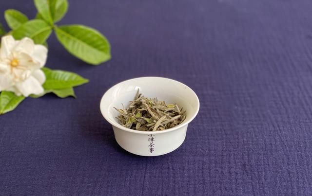 备受|白毫银针备受误解的3个表现,有人避之不及,但老茶友却只爱喝它