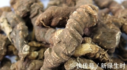 头疼|长在墙角边的野草,用来治头疼效果好,来看看你身边有没有