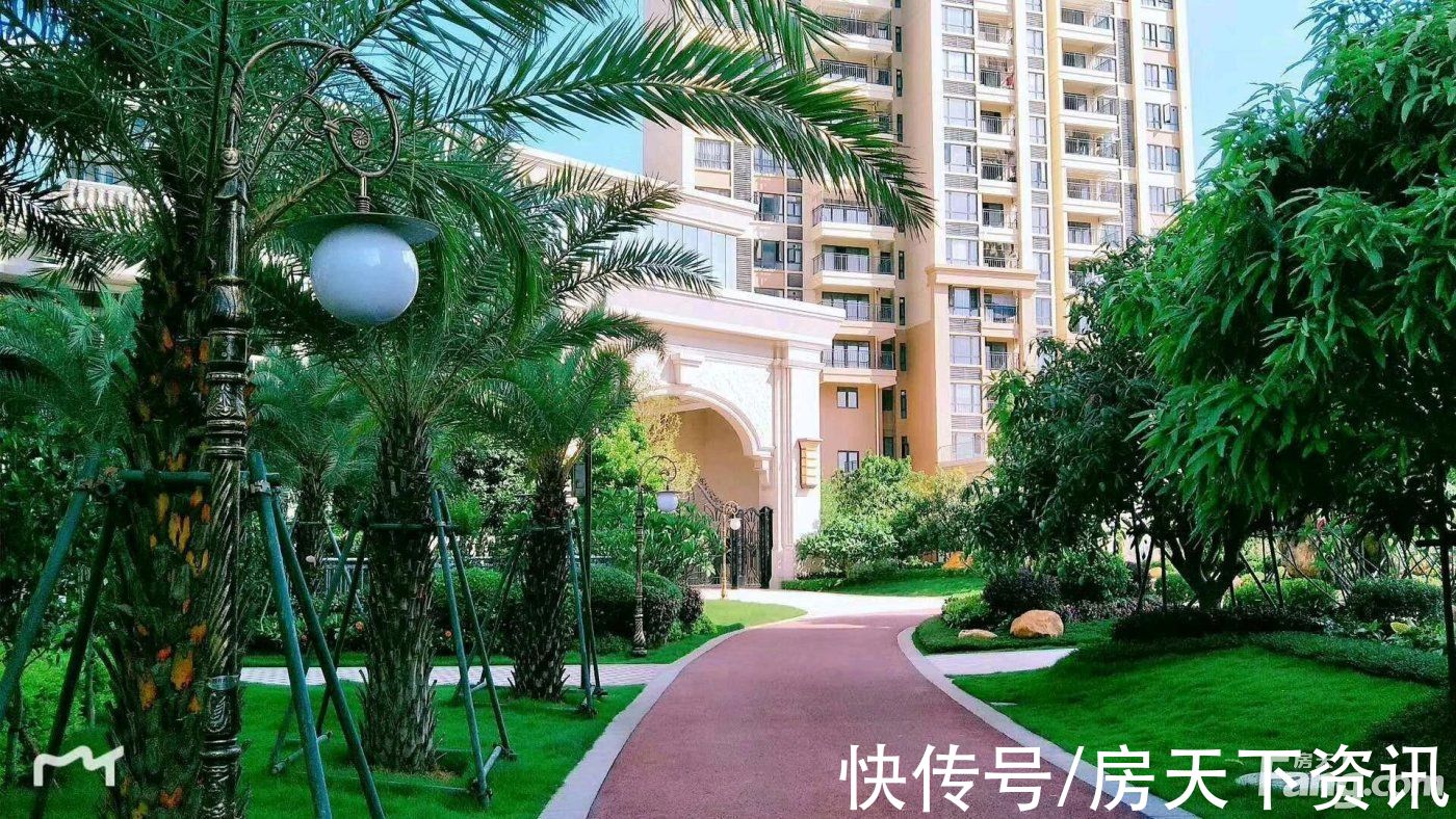 赤坎|请查收从湛江赤坎热门楼盘现场传来多张谍照(组图)