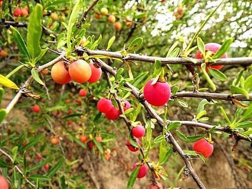 聪明女性多吃三种食物,营养细化、滋润肌肤,身体棒棒哒!