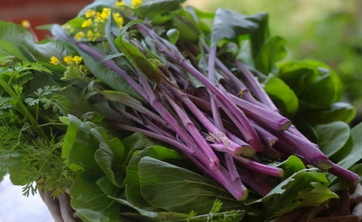 红菜苔|子宫光滑的女性,都爱吃以下3种食物,缓解痛经,预防子宫早衰