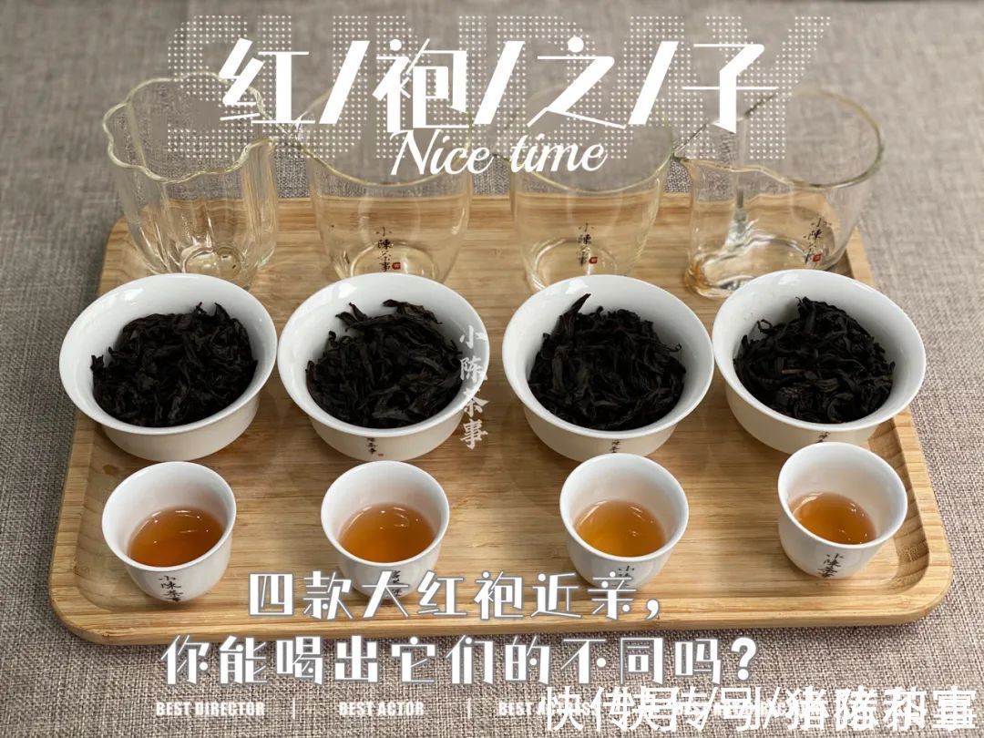 李麻花$四则茶圈秘辛，讲述大红袍后代们的跌宕故事，走进岩茶的历史变迁