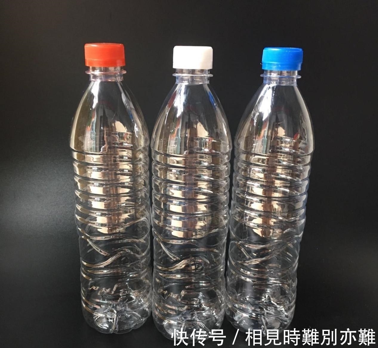 细菌|新研究发现：牛靠吃草长肌肉，所以能消化塑料，牛为什么这么牛？