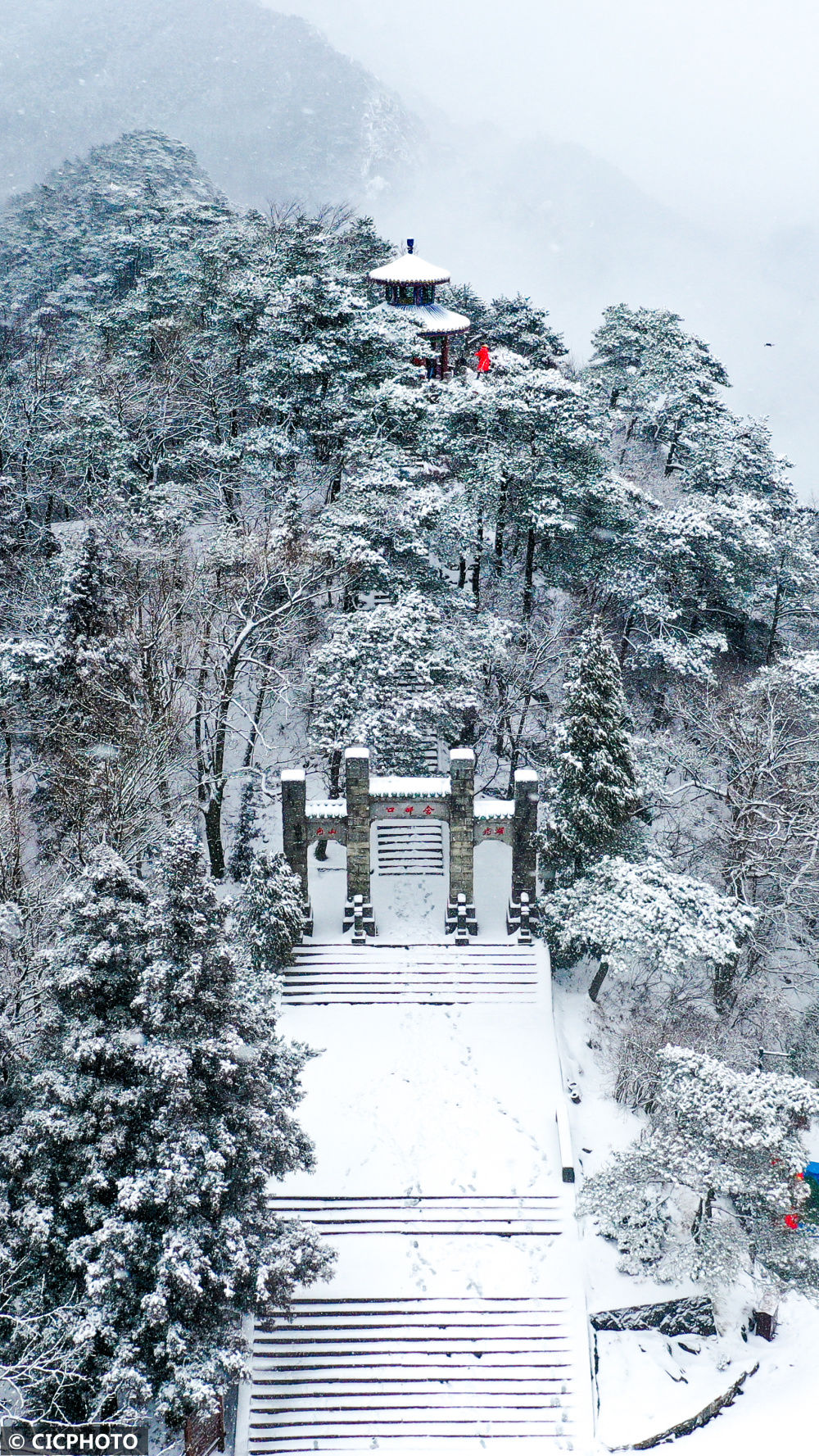 陈泉霖|冬景如画