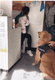 |搞笑GIF:这套动作真危险 到底是男的累还是女的累