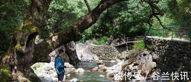 夏季三伏天钓鱼怎么钓钓鱼高手给你支个招,提高中鱼率!