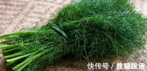 茴香菜|想长寿的话,要常吃以下食物,排毒润肤,淡化色斑,延缓衰老