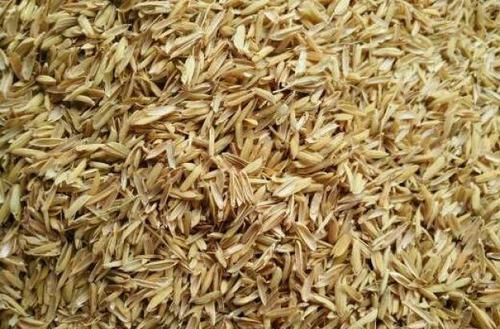  农村|农村没人要的稻壳是养花神器，抓一把撒盆里，花开爆成大花球