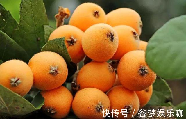 糖尿病|常吃核桃可降血糖,提示,不想血糖飙高,3种素食尽量少吃