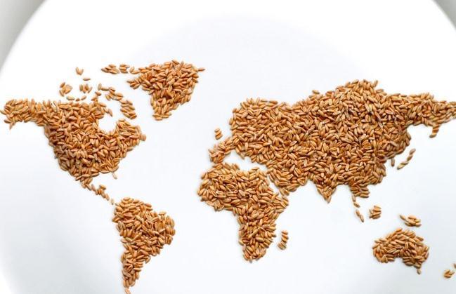 身体|吃得越少活的越久?或许试试4个方法,让你身体健康又长寿!